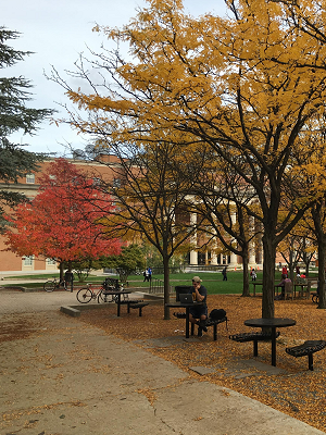 Fall