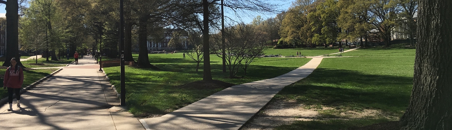 UMD